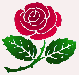 Jedová růže
